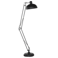Matt Black Floor Lamp