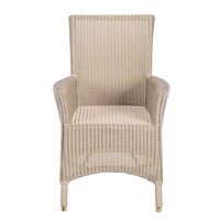 Rafelle Loom Weave Rattan Dining Chair,  Amastic