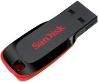 SanDisk 32GB Cruzer Blade USB Flash Drive