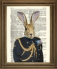 HARE SOLDIER GENERAL: Army Rabbit Dictionary Art Print