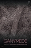 NASA GANYMEDE POSTER: Solar System Series
