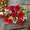 Crimson Cracker Flowers