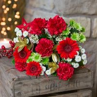 Crimson Cracker Flowers