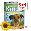 800g Rocco Summer Menu 5 + 1 Free! - Beef with Salmon & Sweet Potato (6 x 800g)