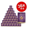 Applaws Cat Food Savings Pack 36 x 70 g - Tuna & Anchovy