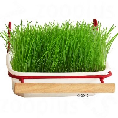 Bird Grass from Mucki - Bird
grass with bracket
