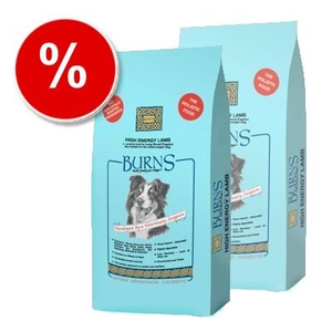 Burns High Energy Lamb - Economy Pack 2 x 15 kg