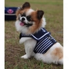 Dog Harness Sailor - Size M