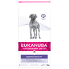 Eukanuba Veterinary Diet Dermatosis - 12kg
