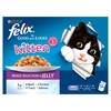 Felix Kitten As Good As It Looks - Mixed Selection (12 x 100g)