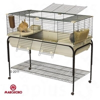 Marchioro Cage Robin 120 - Purple Base