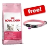 Select Bags Royal Canin Feline + Pink Rogz Cat Collar Free! - Sensible (4 kg)