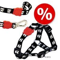 Zee.Dog Zestaw Skull Lead & Harness Set - Size S