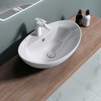 Counter Top Oval Ceramic Basin One Tap Hole 590 x 390mm Brussel 302