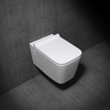 Wall Hung Gloss Ceramic Toilet with Thin Soft Close & Quick Release Toilet Seat Aachen 107