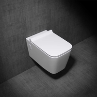 Wall Hung Gloss Ceramic Toilet with Thin Soft Close & Quick Release Toilet Seat Aachen 107