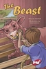 PM Ruby: Guided Reading Pack (PM Plus Chapter Books) Level 28 (36 Books)