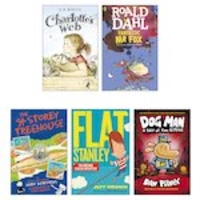 Year 3 Classroom Library Starter Pack