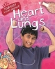Your Body Inside and Out! Heart and Lungs