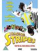 Racing Stripes
