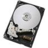 IBM 250GB 7.2K SS SATA HDD