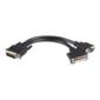 StarTech.com 8inch 59 to DVI I VGA DMS 59 Cable