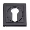 Matt Black Square Euro Escutcheon