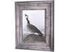 Goose Canvas Print with Frame Effect