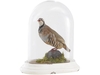 Lolanthe Glass Dome with French Partridge