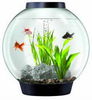 Biorb Aquarium 60 With Halogen Light And Heater (tropical) Black