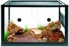 Komodo Tortoise Starter Kit