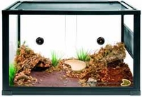 Komodo Tortoise Starter Kit