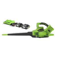 Greenworks 24V/48V Greenworks 48V (2 X 24V) Blow & Vac with 2 x 4Ah Batteries & Charger