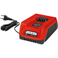 Grizzly Tools 40 Volt Grizzly 40VQCHAR Quick Battery Charger (40V)