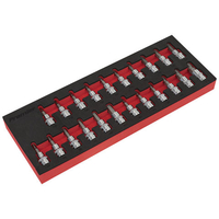 Sealey Sealey 3/8" Drive 22 piece TRX-Star*/Hex/Spline Socket Bit Set