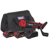 Sealey Sealey CP20VMTKIT Cordless Oscillating Multi-Tool Kit 20V - (2 Batteries,  Charger & Bag)