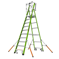 T. B. Davies Little Giant 10 Tread Safety Cage Series 2.0