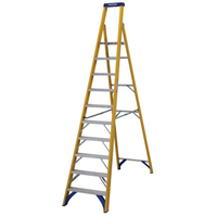 Werner Werner Fibreglass Platform Stepladder Trade 10 Tread