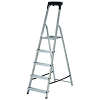 Werner Werner High Handrail Stepladder 5 Tread With Tool Tray
