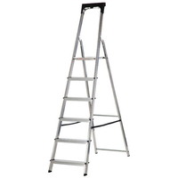 Werner Werner High Handrail Stepladder 6 Tread With Tool Tray