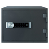 Yale Yale YFM-310-FG2 Medium Fire Safe