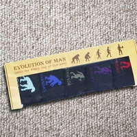Evolution Of Man Sock Set
