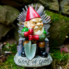 Game of Gnomes Gnome