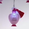 Harry Potter Love Potion 2D String Lights