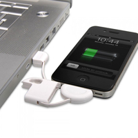 iPhone Keyring USB Charging Cable