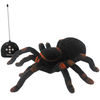 Remote Control Tarantula
