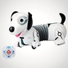 Robo Dash Dog