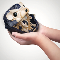 Robotic Hedgehog