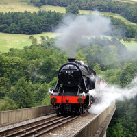 Steam Train Experience For Two