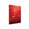 Adobe Acrobat 11 Professional Upgrade Windows